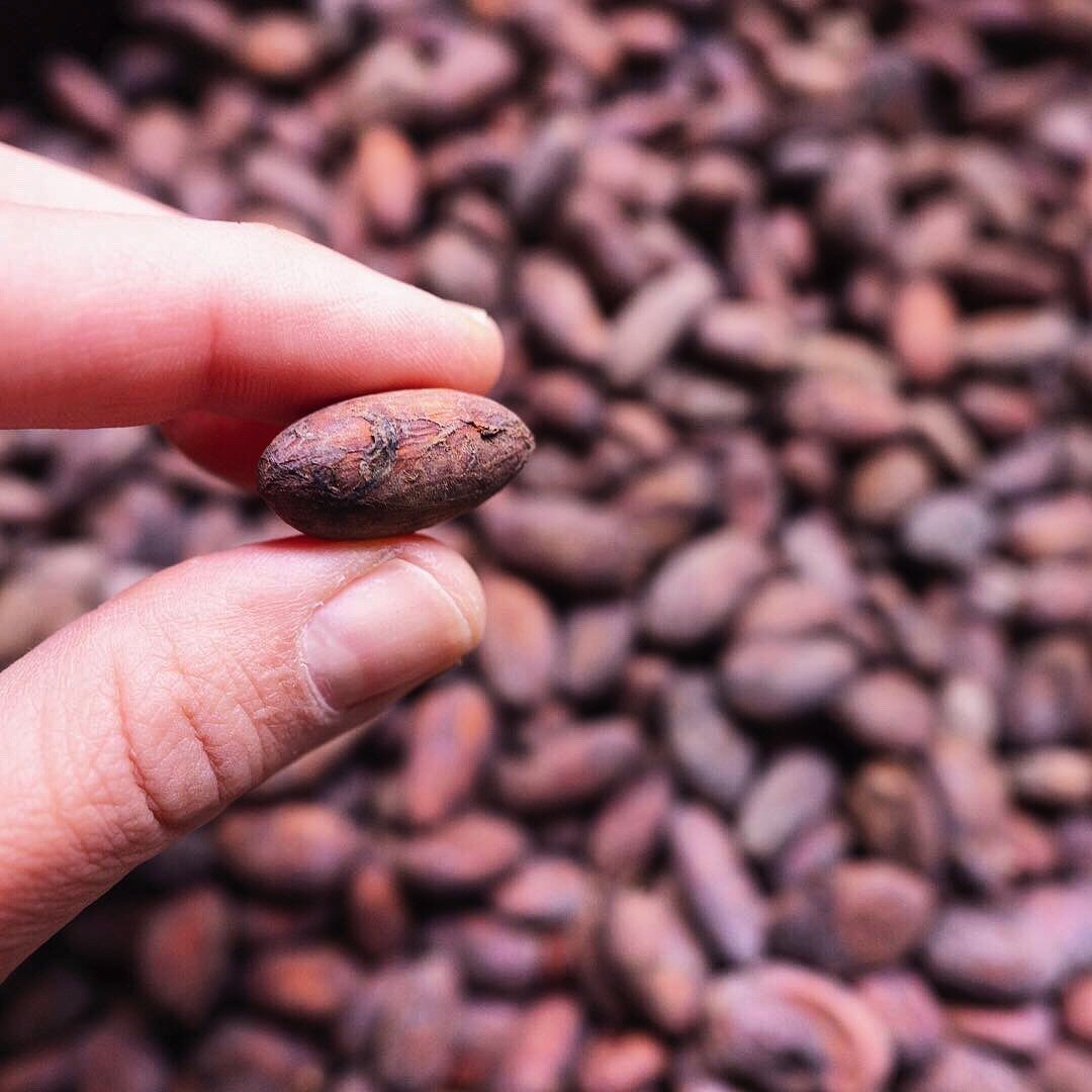 hat-cacao-rang hat-cacao-rang
